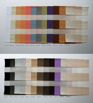 Zebra Blinds fabric for Window Treatments from China