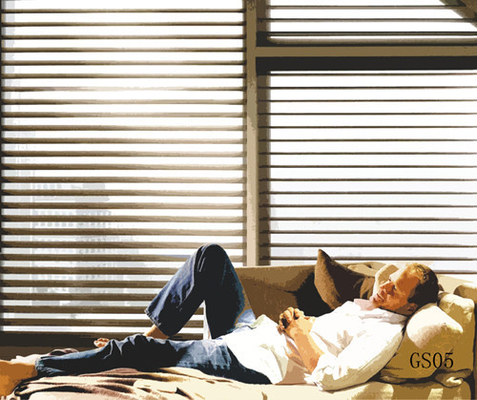 Shangri-La 2" Light Filtering Shadings from China