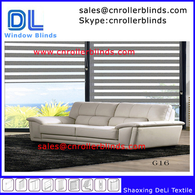 Morden Window Covering Zebra Blinds